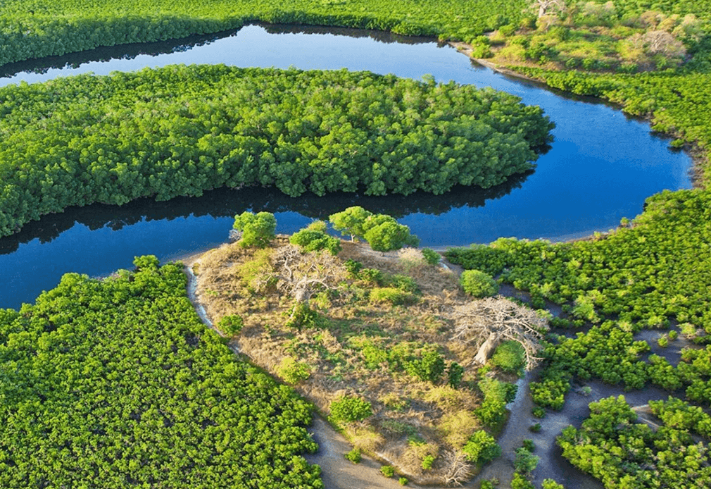 Delta du Sine-Saloum